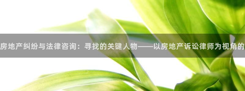 香港和记通讯官网：房地产纠纷与法律咨询：寻找的关键人物——以