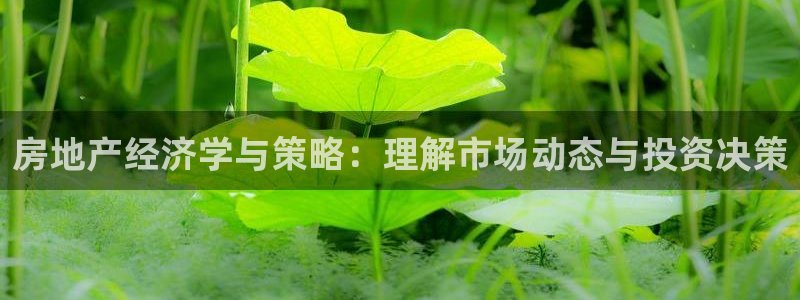 和记怡情官网：房地产经济学与策略：理解市场动态与投资决策