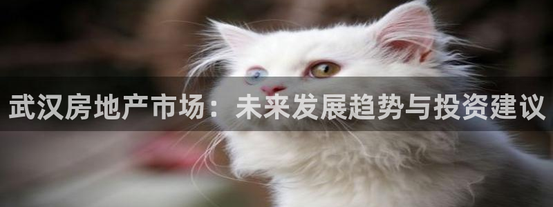 澳门3和记官网：武汉房地产市场：未来发展趋势与投资建议