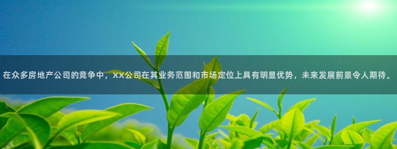 和记app官方官网登录：在众多房地产公司的竞争中，XX公司在