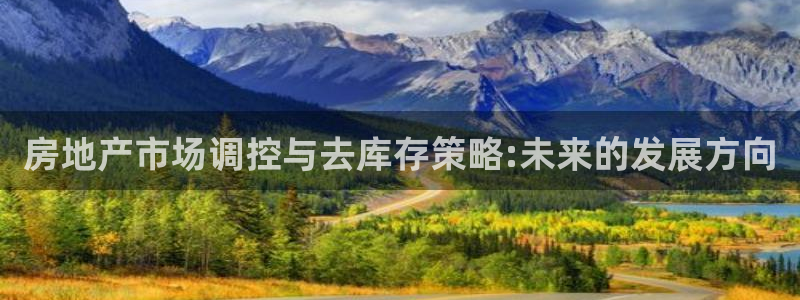 和记3国际万能卡官网：房地产市场调控与去库存策略:未来的发展