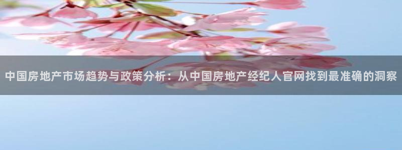 和记日化官网：中国房地产市场趋势与政策分析：从中国房地产经纪