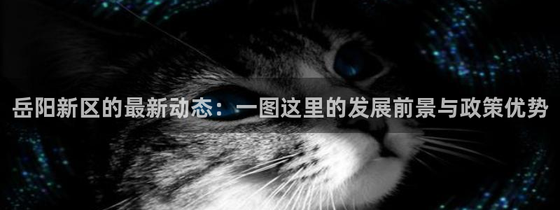 香港和记卡官网：岳阳新区的最新动态：一图这里的发展前景与政策
