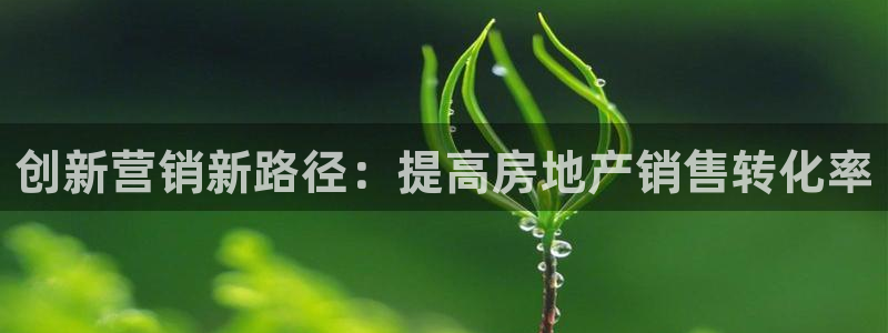 和记怡情h88官网：创新营销新路径：提高房地产销售转化率