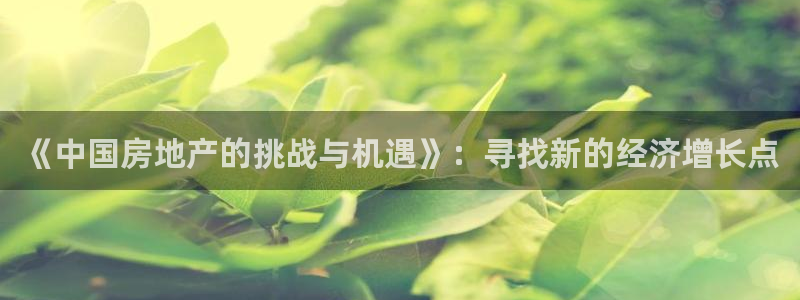 和记娱乐h8官网：《中国房地产的挑战与机遇》：寻找新的经济增