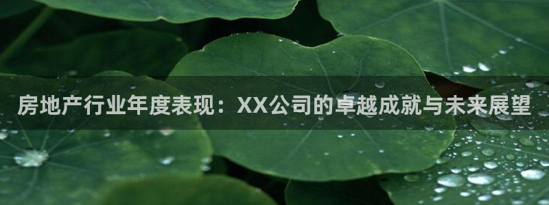 和记黄埔官网攻略：房地产行业年度表现：XX公司的卓越成就与未