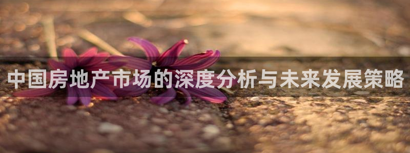 澳门和记电讯官网：中国房地产市场的深度分析与未来发展策略
