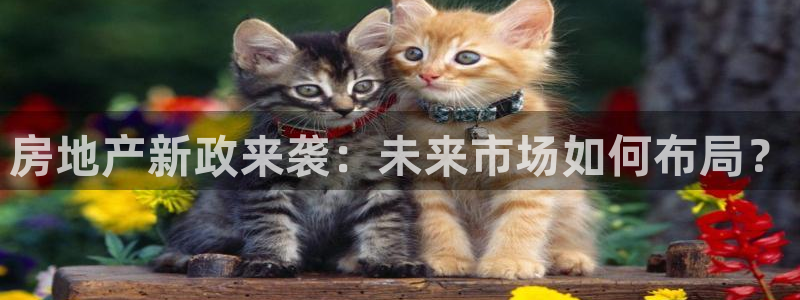 和记官网手机版：房地产新政来袭：未来市场如何布局？