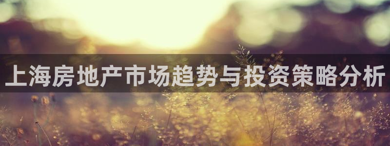 和记怡情博娱官网：上海房地产市场趋势与投资策略分析