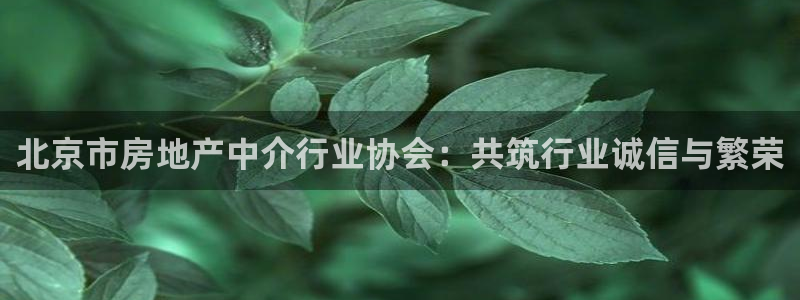 和记官网登录入口：北京市房地产中介行业协会：共筑行业诚信与繁