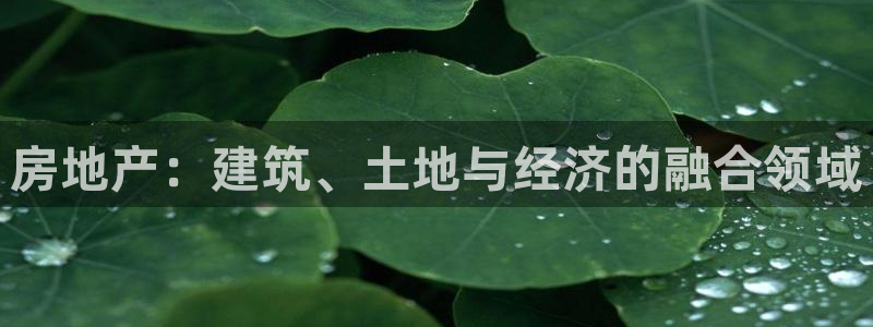 和记手游官网：房地产：建筑、土地与经济的融合领域