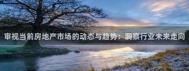和记官网和记：审视当前房地产市场的动态与趋势：洞察行业未来走