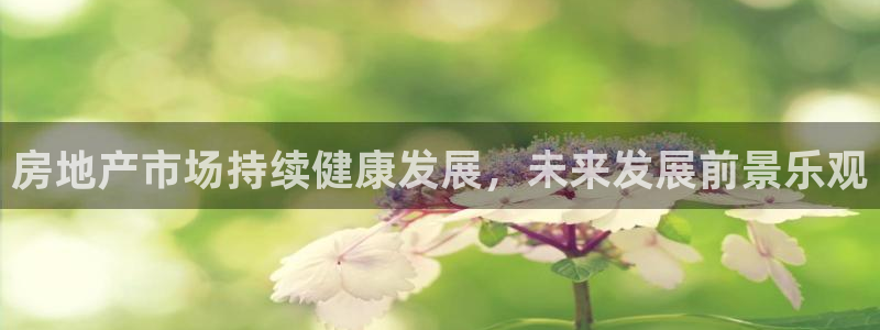 和记彩官网：房地产市场持续健康发展，未来发展前景乐观