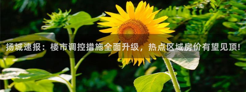 香港和记3台官网：扬城速报：楼市调控措施全面升级，热点区域房