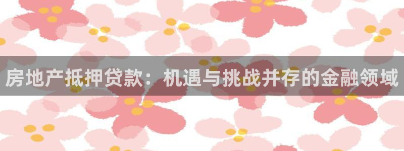 和行记义工网官网：房地产抵押贷款：机遇与挑战并存的金融领域