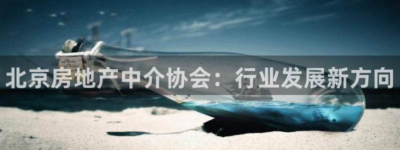 官网和记通讯：北京房地产中介协会：行业发展新方向