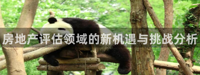 和记娱乐场所官网：房地产评估领域的新机遇与挑战分析