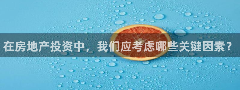 和记黄埔公司官网：在房地产投资中，我们应考虑哪些关键因素？