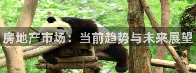 和记娱乐手机官网：房地产市场：当前趋势与未来展望