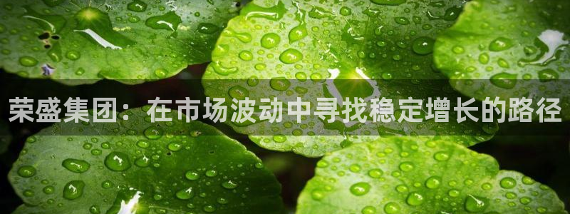 和记官网官网入口：荣盛集团：在市场波动中寻找稳定增长的路径