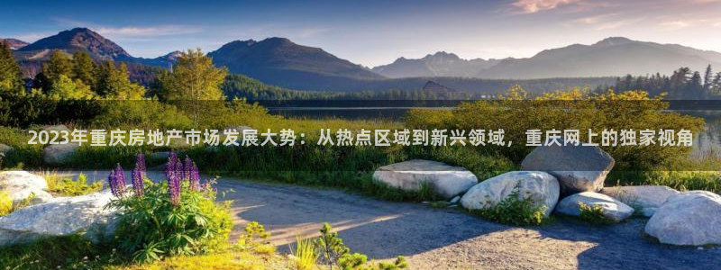 上海和记黄埔官网：2023年重庆房地产市场发展大势：从热点区