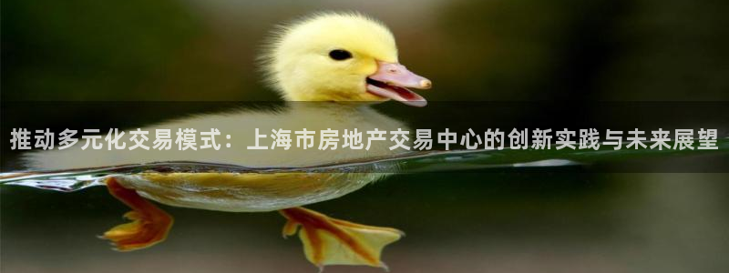 3和记电讯官网：推动多元化交易模式：上海市房地产交易中心的创