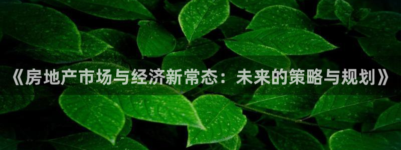 和记官网：《房地产市场与经济新常态：未来的策略与规划》
