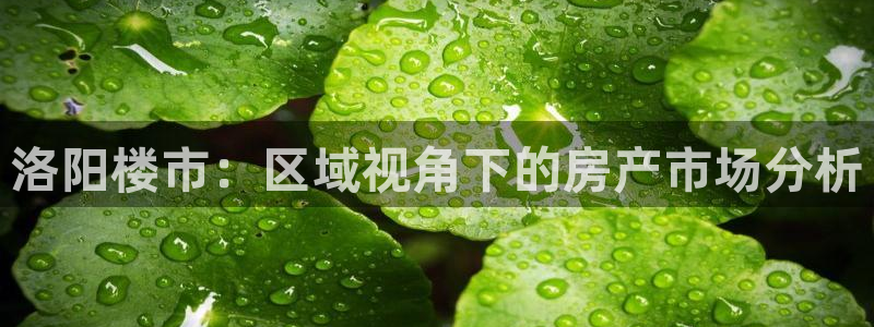 和记怡情博娱官网：洛阳楼市：区域视角下的房产市场分析