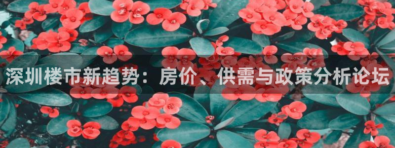 和记官网开户：深圳楼市新趋势：房价、供需与政策分析论坛