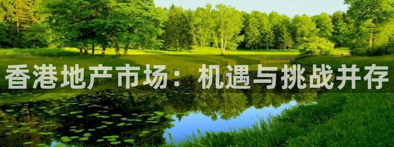 和记黄埔 成都 官网：香港地产市场：机遇与挑战并存