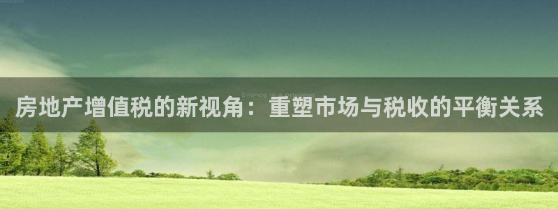 和记娱真好h88285官网：房地产增值税的新视角：重塑市场与