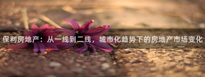 菲律宾和记官网：保利房地产：从一线到二线，城市化趋势下的房地