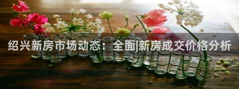 和记平台官网：绍兴新房市场动态：全面|新房成交价格分析