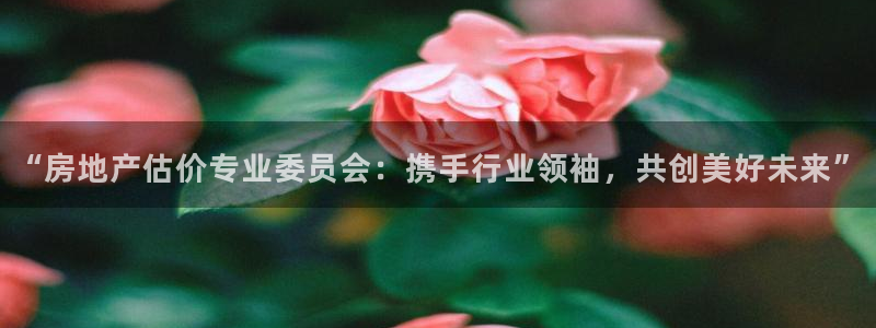和记h88官网登陆：“房地产估价专业委员会：携手行业领袖，共