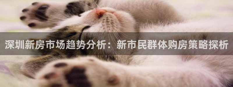 3和记电讯官网：深圳新房市场趋势分析：新市民群体购房策略探析