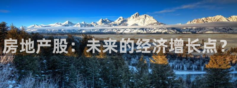 和记一品官网：房地产股：未来的经济增长点？