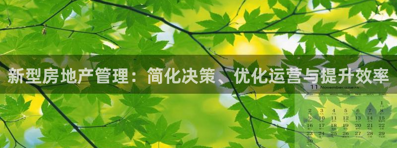 和记混凝土官网：新型房地产管理：简化决策、优化运营与提升效率
