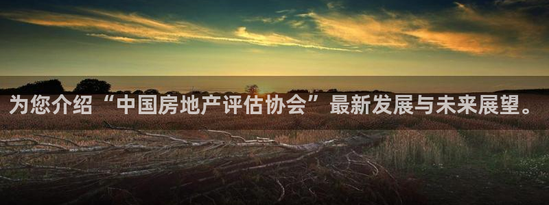 和记怡情博物官网：为您介绍“中国房地产评估协会”最新发展与未