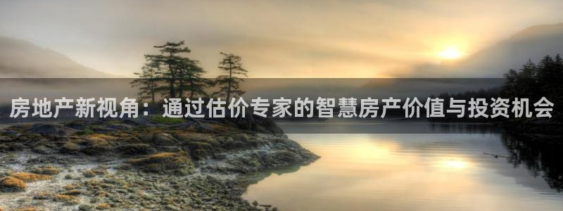 和记手机官网：房地产新视角：通过估价专家的智慧房产价值与投资