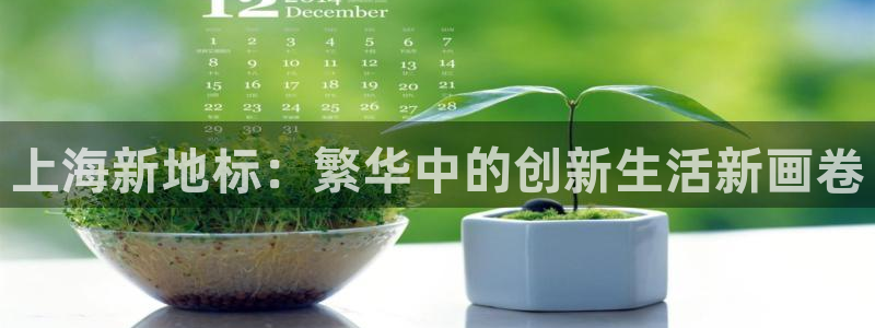和兴记官网：上海新地标：繁华中的创新生活新画卷