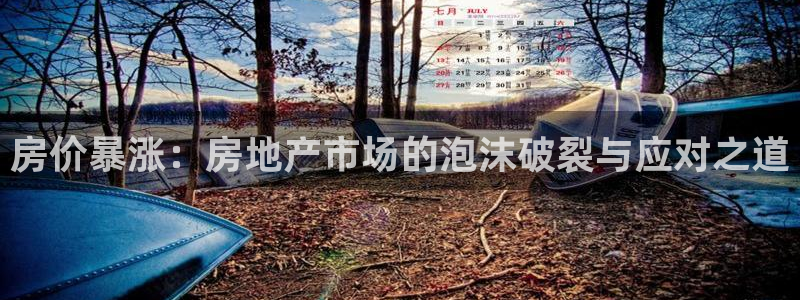 和记体育买球官网：房价暴涨：房地产市场的泡沫破裂与应对之道