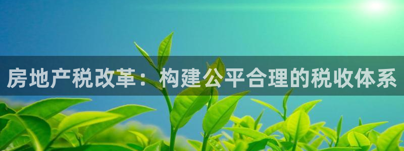 和记官网 (中国区)官方网站：房地产税改革：构建公平合理的税