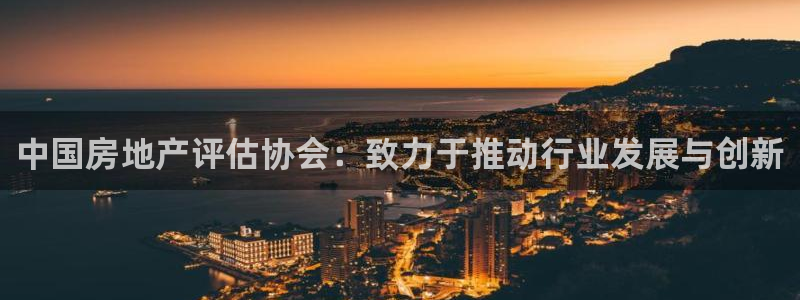 印尼和记官网：中国房地产评估协会：致力于推动行业发展与创新