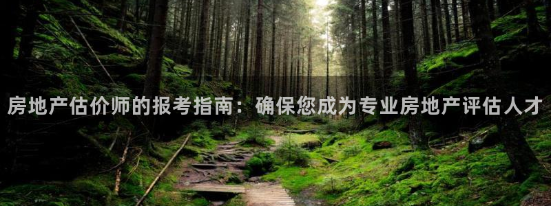 和记电讯3官网：房地产估价师的报考指南：确保您成为专业房地产