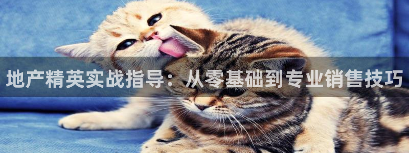和记娱答疑h88285官网：地产精英实战指导：从零基础到专业