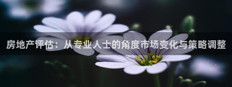 和记娱的确好h88285官网：房地产评估：从专业人士的角度市