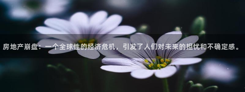 香港和记卡官网：房地产崩盘：一个全球性的经济危机，引发了人们
