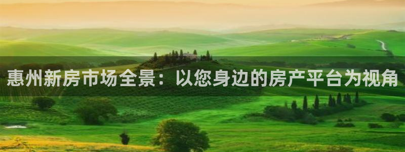胡和记面官网：惠州新房市场全景：以您身边的房产平台为视角