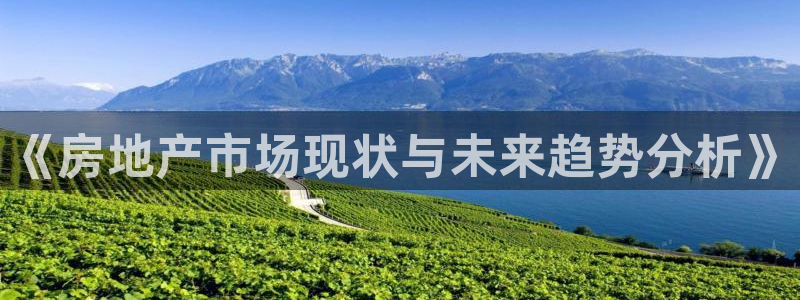和记官网登陆：《房地产市场现状与未来趋势分析》