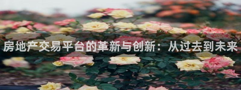 和记3卡官网是哪：房地产交易平台的革新与创新：从过去到未来